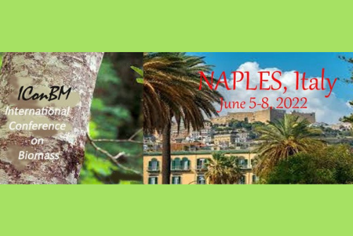International Conference on Biomass